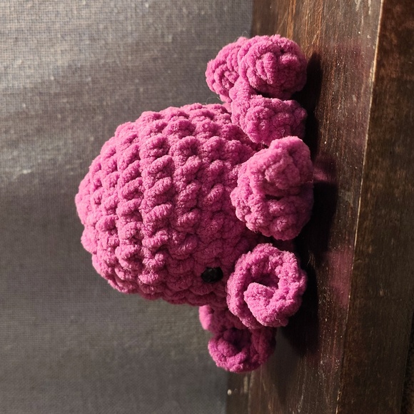 Mini octopus - Picture 3 of 5